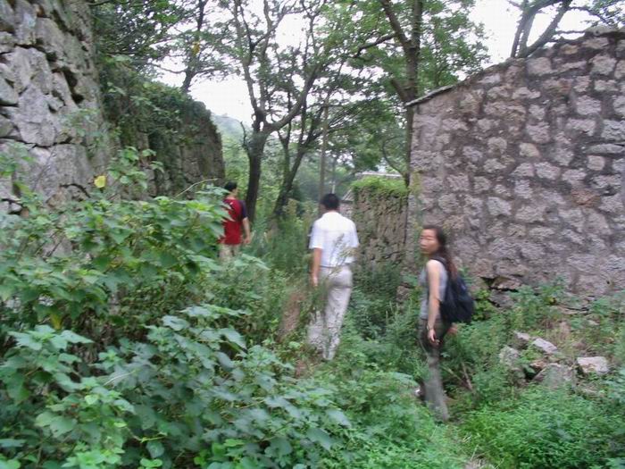 我们沿着这条小道偷进了桃花寨