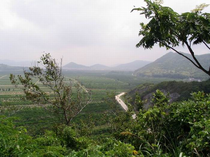 桃花岛上的平原景色